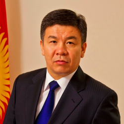 «Ата Мекендеги» депутаттардын туугандары төлөгөн салыктар текшерилет