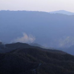 Асад режими ок атышпоону бузууда