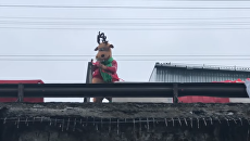 ВИДЕО - Человек в костюме оленя "починил" киевский мост скотчем и подорожником