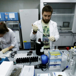 ​​​​​​​Орусия өкмөтү допингге каршы күрөшүүгө 1,6 миллиард рубль бөлдү