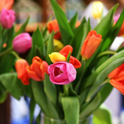 В Таджикистане конкурс "Автоледи" выиграли российские военнослужащие