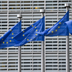 Эксперты ООН призвали Евросоюз смягчить миграционную политику