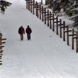 Лидера протестов в Минске задержали во время трансляции в "Фейсбуке"