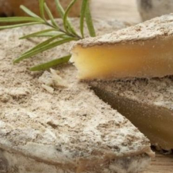 В США два человека умерли, отравившись сыром