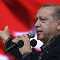 Эрдоган назвал власти Нидерландов фашистами за отказ главе МИД