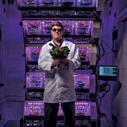  Сүрөт - Марс планетасында жашоо бар...