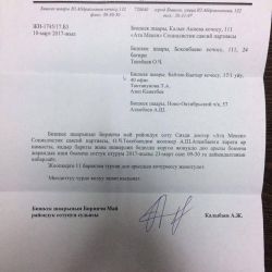  "Ата Мекен" партиясы президентти сотко берди