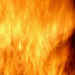 Под Тверью сгорел частный зоопарк