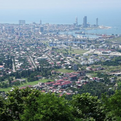 В Грузии сильный ветер повредил крыши домов и повалил деревья