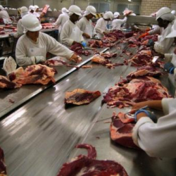 Бразилияга бузулган эт эмбаргосу