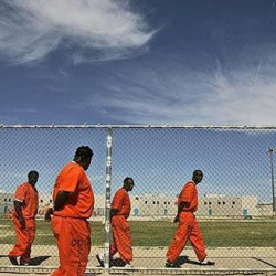 Мусулда 43 жаран "жаңылыштык" менен өлтүрүлдү