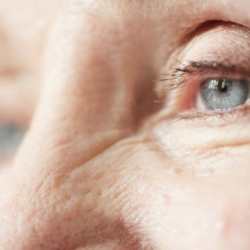 На мышах успешно опробован омолаживающий препарат