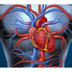 Нарынга гемодиализ бөлүмү ачылат