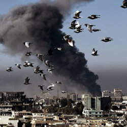 В Мосуле уничтожили предполагаемого россиянина, отвечавшего в ИГ* за нефть