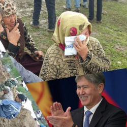 Дариха Ишанова, блогер: “Адамды малдан арзан баалаган Атамбаев ал – Чикатило”