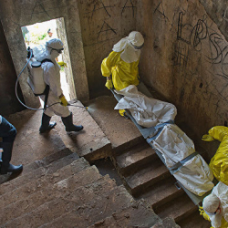 ВОЗ подтвердила второй случай заражения лихорадкой Эбола в ДРК