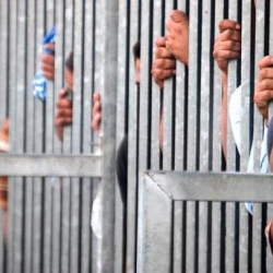 Сирия режиминин мыкаачылыгы