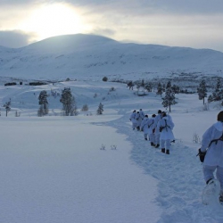 СМИ: Американские военные замёрзли на учениях у границ с Россией