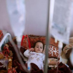 Йеменде холера