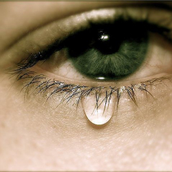 Курбумдун көрө албастыгы мени бактысыз кылды...