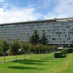 Избран новый глава ВОЗ