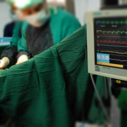 По  трансплантациям печени от живого донора Турция на первом месте