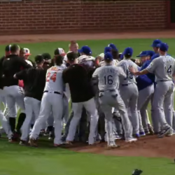 На бейсбольном матче в США произошла массовая драка (ВИДЕО)