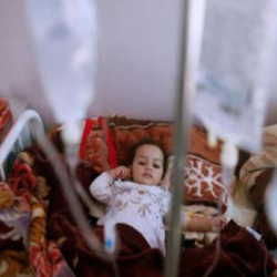 Йеменде 676 киши холерадан каза тапты