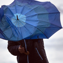 Штормовое предупреждение о сильном ветре распространило МЧС Кыргызстана