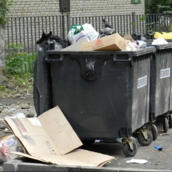 Москвада каза болгон кыргызстандыктардын дене мүчөлөрүн таштандыга ыргыткан тергөөчү аныкталды 