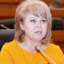 Ирина Карамушкина:  «Республика -Ата Журт» фракциясы жеңилдиктен баш тартуусун бизге таңуулабасын!»