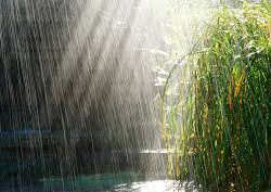 Штормовое предупреждение: по Кыргызстану ожидаются ливневые дожди