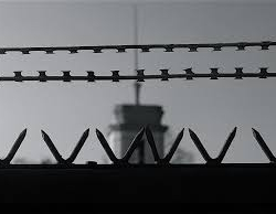 Беременную надзирательницу могут посадить в тюрьму за секс с заключённым