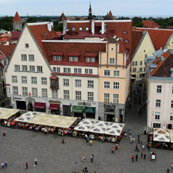 Против союзников по НАТО в Эстонии высказались 57% русскоязычных жителей