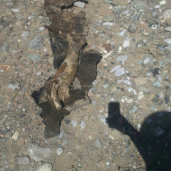 Дарыядан табылган бут кимге таандык экени аныкталды