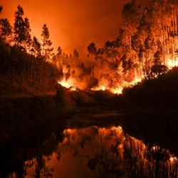 62 человека погибли за день пожаров в Португалии