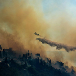 На юге Хорватии сотни спасателей тушат лесной пожар