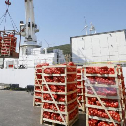 Түркиядан Катарга рекорддук экспорт