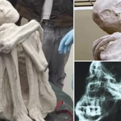 ВИДЕО - Колдору адамдыкына окшошпогон мумия табылды