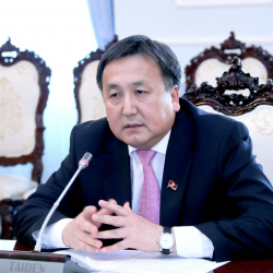 Съезддерин өткөрө албай "ойду омкоруп" "тоону томкоробуз" дегендер