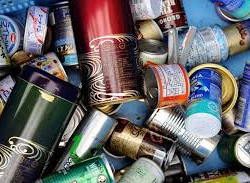 Жаңы жылдан кийин аянттан 10 тонна таштанды чыгарылды