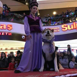 Башынан заара жыттанган "катыган" памперс кийгизип койсоң да ыраазы болгон бөксөбаштар 