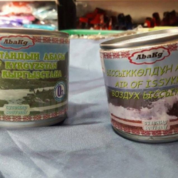 Ысык-Көлдүн абасы сатылууда