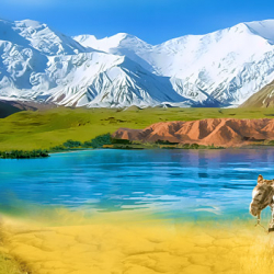 2017- жыл - "Аймактарды өнүктүрүү жылы"