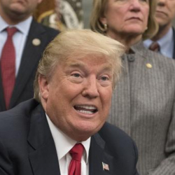 Залды каткырткан Трамптын кылыктары...