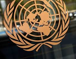 Мамлекетибиз БУУдан Экстремизм жана терроризм менен күрөшө албай жатканыбызды билдирип, жардам сурады...