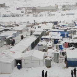 Сириялык баш калкалоочулар суукта тоңуп көз жумду