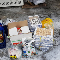 Үч баласы менен сыз кепеде калган Алияга элдер жардам чогултушту