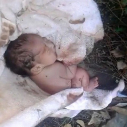 ... Мужчина нашел в парке брошенную новорожденную девочку. То, что он потом сделал, .... просто невероятно!!!