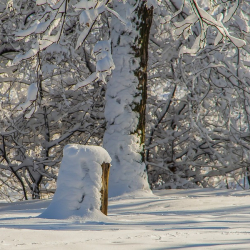 ШАШЫЛЫШ БИЛДИРҮҮ!